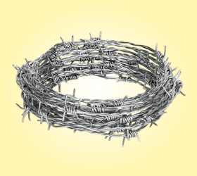 Barbed Wire Fencing Product Tamil Nadu